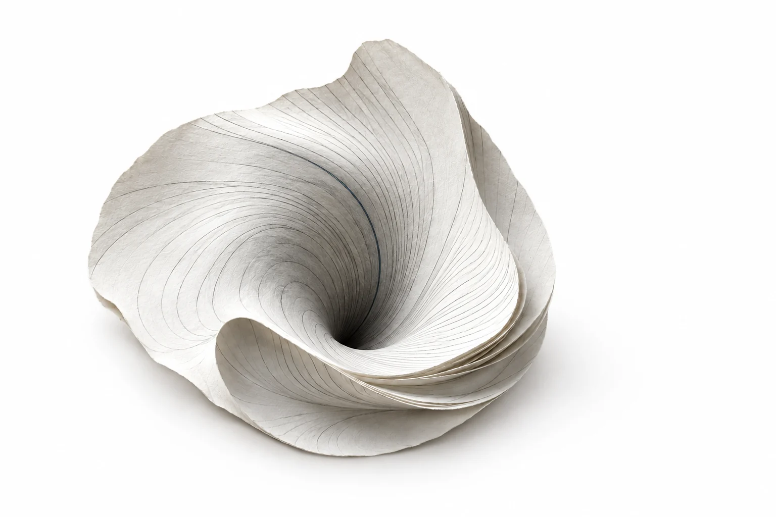 A sculpted paper basin with fine graphite contours descending into a deep central field.